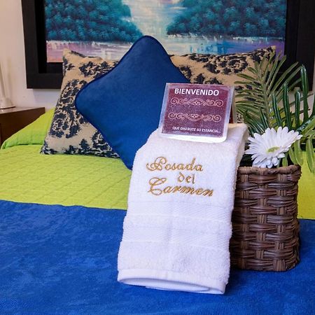 Hotel Posada Del Carmen ซานหลุยส์โปโตซิ ภายนอก รูปภาพ