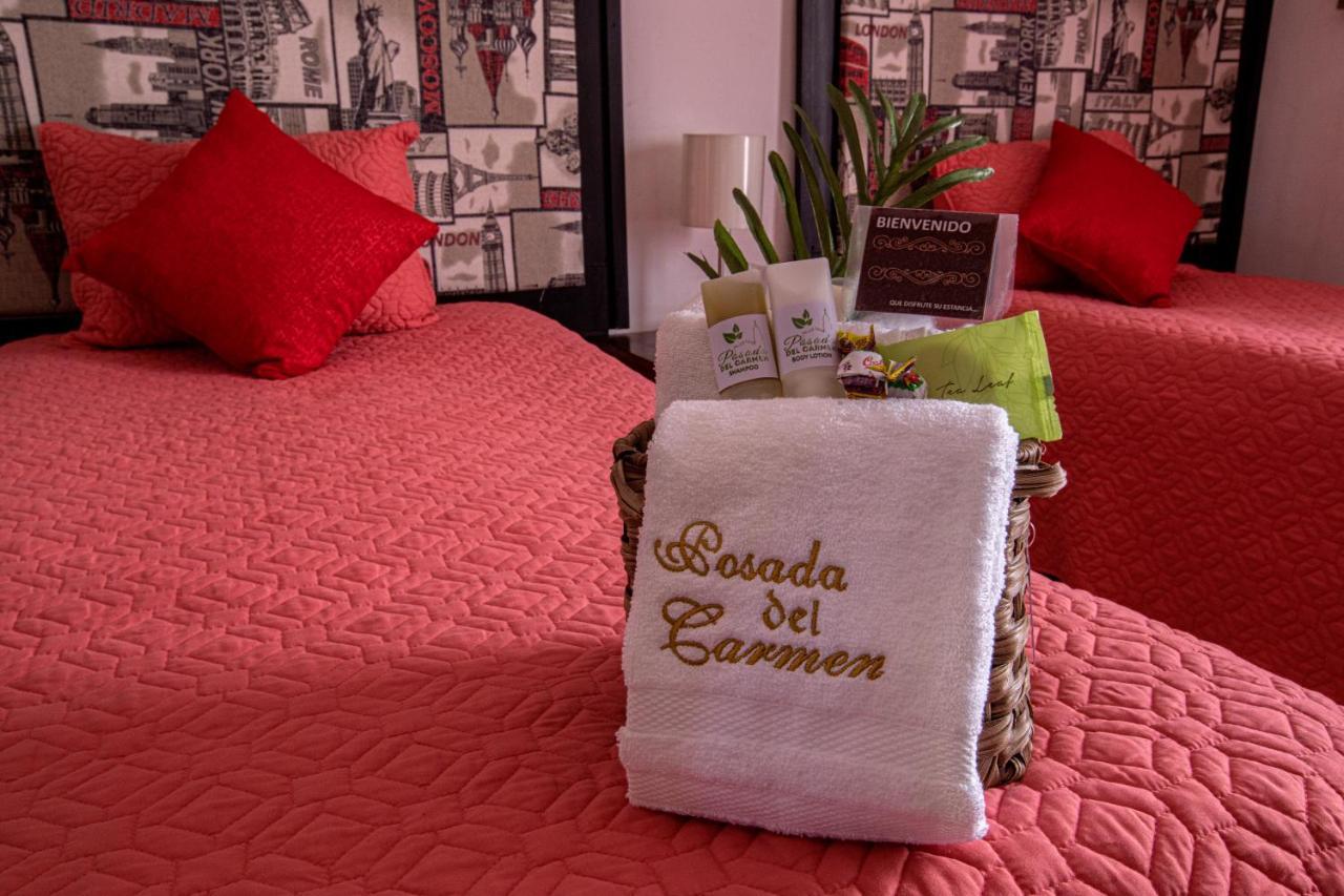 Hotel Posada Del Carmen ซานหลุยส์โปโตซิ ภายนอก รูปภาพ