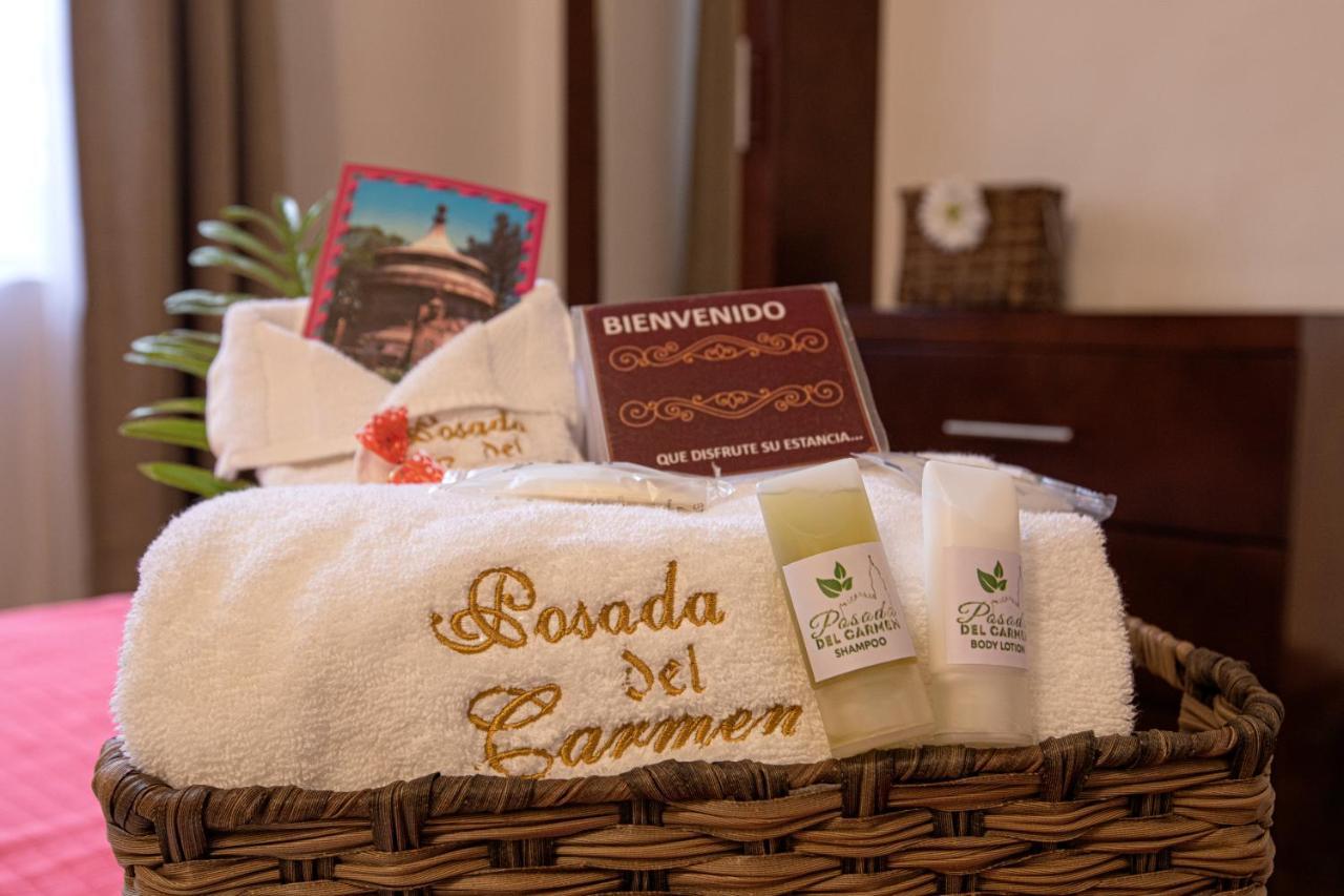 Hotel Posada Del Carmen ซานหลุยส์โปโตซิ ภายนอก รูปภาพ